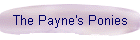 The Payne's Ponies