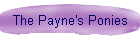 The Payne's Ponies